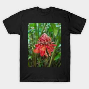 Red Flower T-Shirt